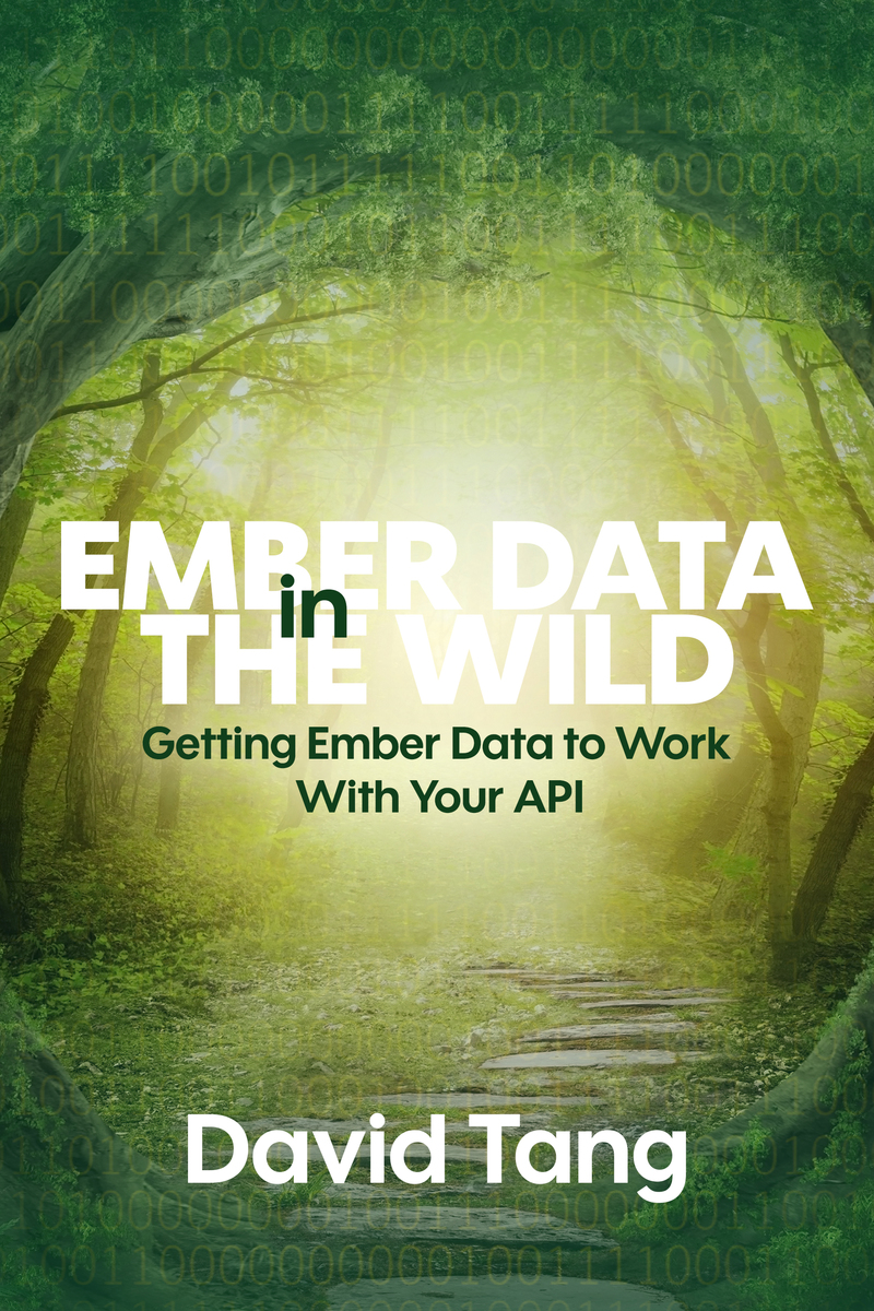 Ember Data in the Wild cover