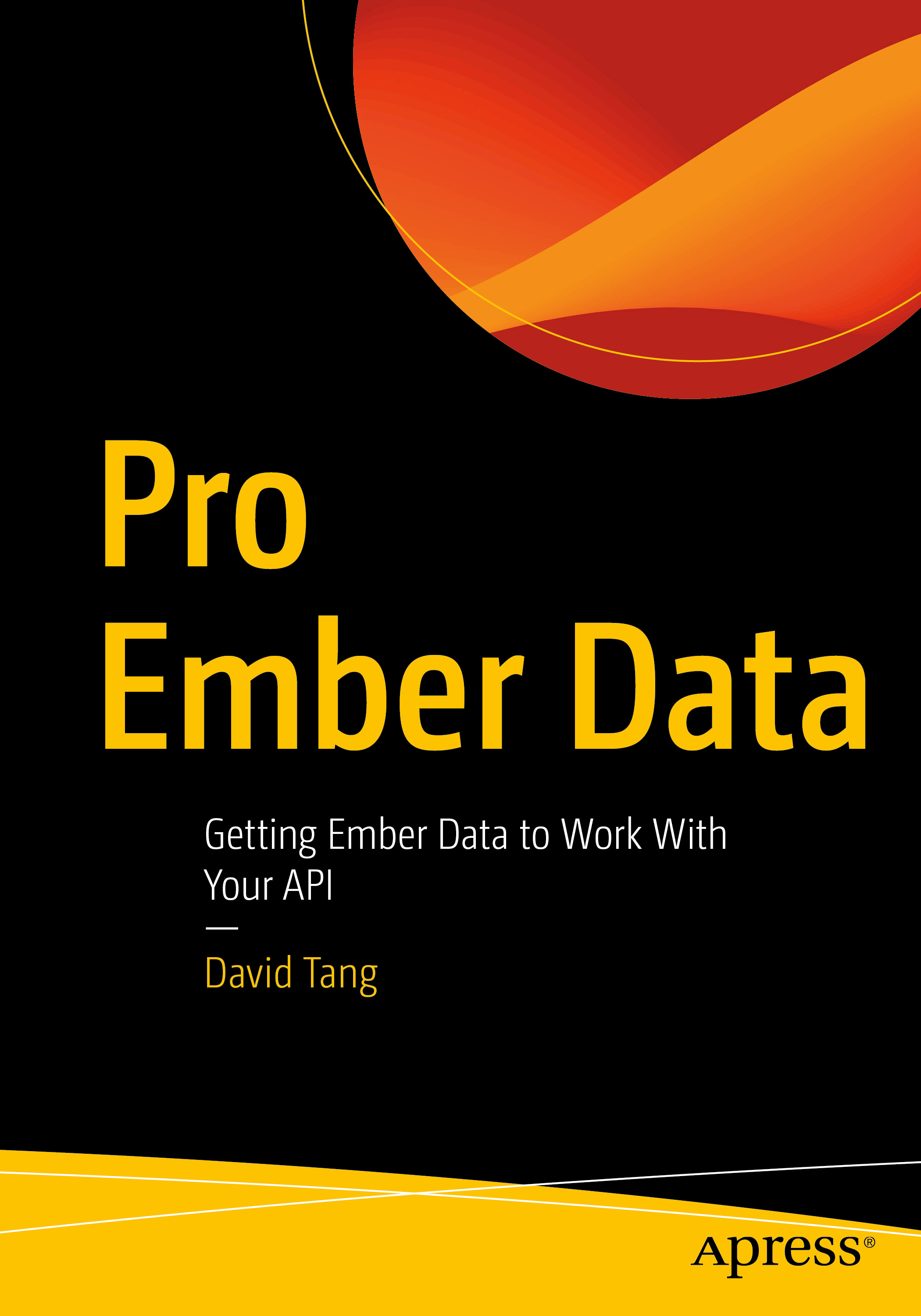 Pro Ember Data cover